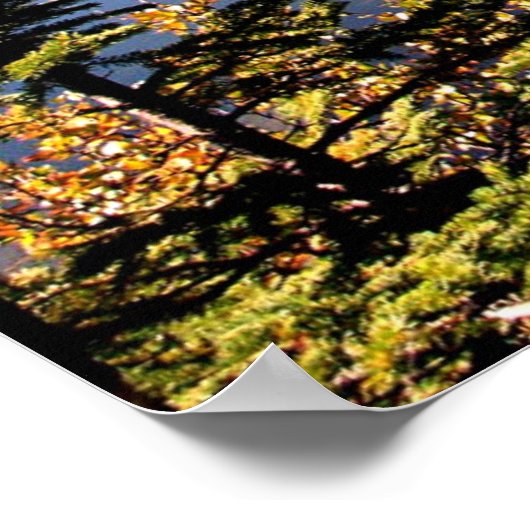 Poster Été indien, Canada (Coin)