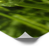 Poster Été Lilac et marguerites (Coin)