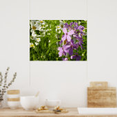 Poster Été Lilac et marguerites (Cuisine)