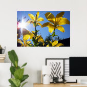 Poster Été Lilies série 4 (Bureau à domicile)