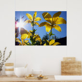 Poster Été Lilies série 4 (Cuisine)