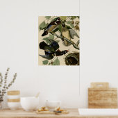 Poster Eté ou canard à bois (Cuisine)