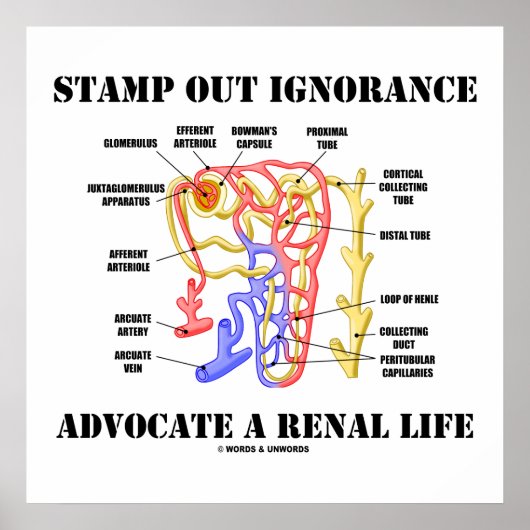 Poster Éteins L'Ignorance Avocat D'Un Néphron À Vie Renal (Devant)