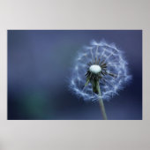 Poster Éteint (Devant)