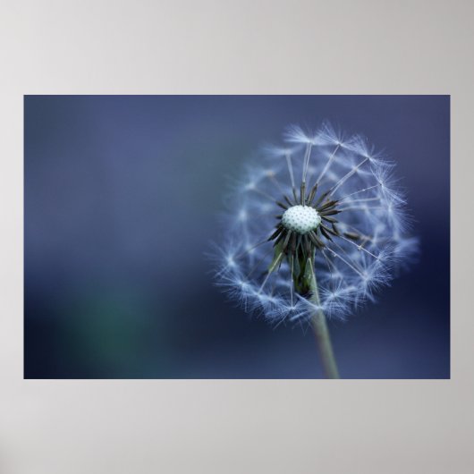 Poster Éteint (Devant)