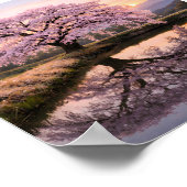 Poster Eternal Cherry Blossom Reflection –  Art Print (Coin)