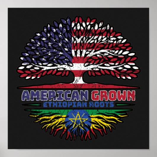 Poster Ethiopie États-Unis d'Amérique Éthiopie (Devant)