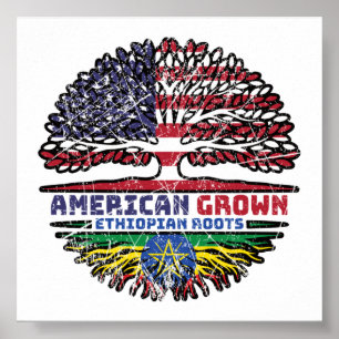 Poster Ethiopie États-Unis d'Amérique Éthiopie
