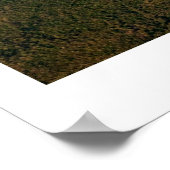 Poster Éthographie 14 (Coin)