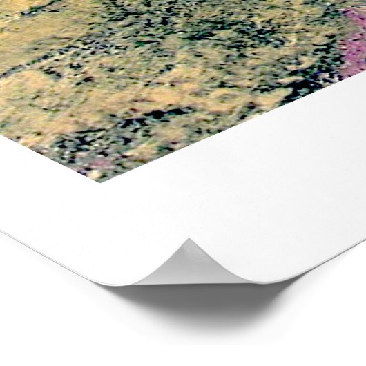 Poster Éthographie 15 (Coin)