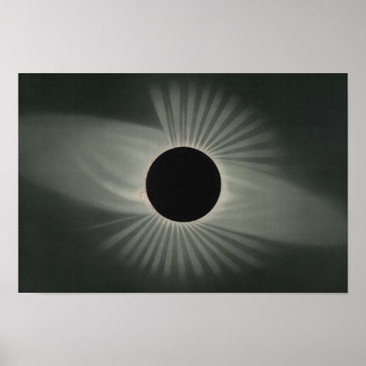 Poster Etienne Leopold Trouvelot - Total Eclipse (Devant)