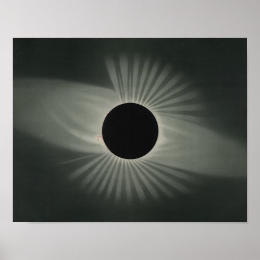 Poster Etienne Leopold Trouvelot - Total Eclipse (Devant)