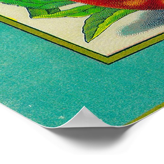 Poster Étiquette Bell Peach (Coin)