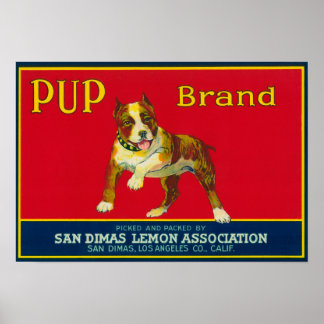 Poster Étiquette Citron Pup San Dimas, CA