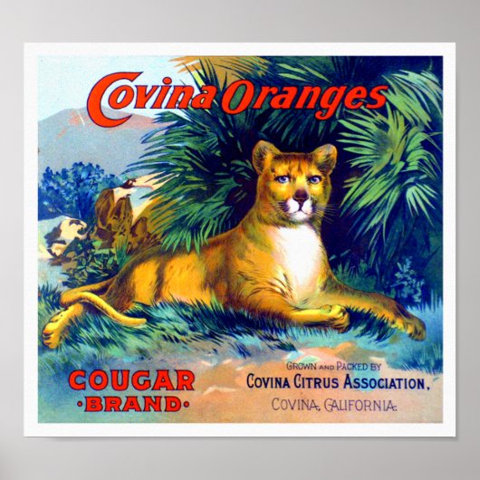 Poster Étiquette de caisse de fruits Oranges Covina Marqu (Devant)