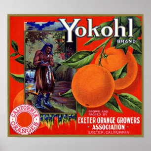 Poster Étiquette de caisse de la marque Yokohl Orange Sch