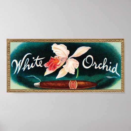 Poster Étiquette de cigare à orchidée blanche (Devant)