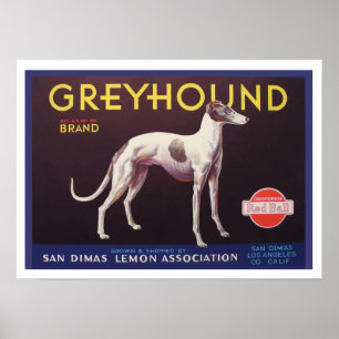 Poster Étiquette de crème fruitée Greyhound