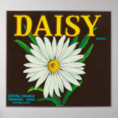 Poster Étiquette de la marque Daisy Citrus Crate (Devant)