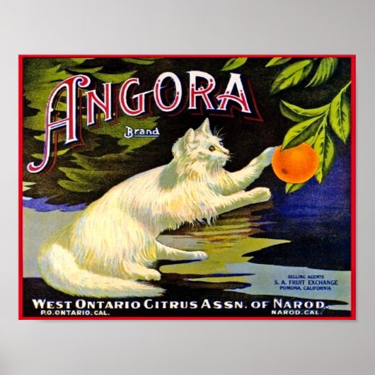 Poster étiquette de marque Angora des années 1940 avec ch (Devant)