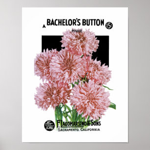 Poster Étiquette de paquet de graine des boutons du