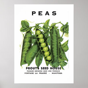 Poster Étiquette de paquets de graines de pois