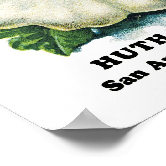 Poster Étiquette de paquets de graines de squash (Coin)