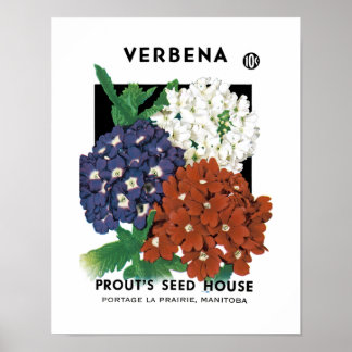 Poster Étiquette de paquets de semences Verbena