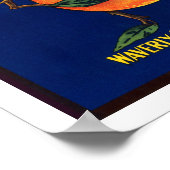 Poster Étiquette d'oranges de marque complète (Coin)