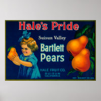 Étiquette Hale's Pride Pear CrateSuisun, CA