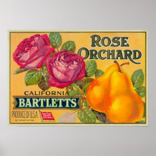 Poster Étiquette rose de caisse de poire de verger