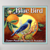 Poster Étiquette vintage Fruit (Devant)