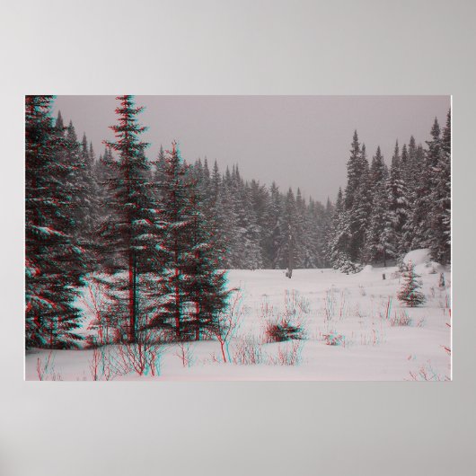 Poster Étiquettes de castor (Devant)