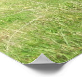 Poster Étiquettes de la Nouvelle-Zélande (Coin)