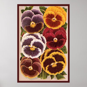Poster Étiquettes de paquets de graines vintage, fleurs d