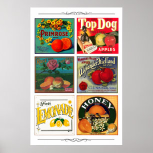 Poster Étiquettes publicitaires de fruits vintage