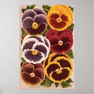 Poster Étiquettes vintages de paquet de graine, fleurs de