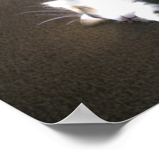 Poster Étiré.... (Coin)