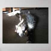 Poster Étiré.... (Devant)