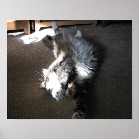 Poster Étiré.... (Devant)