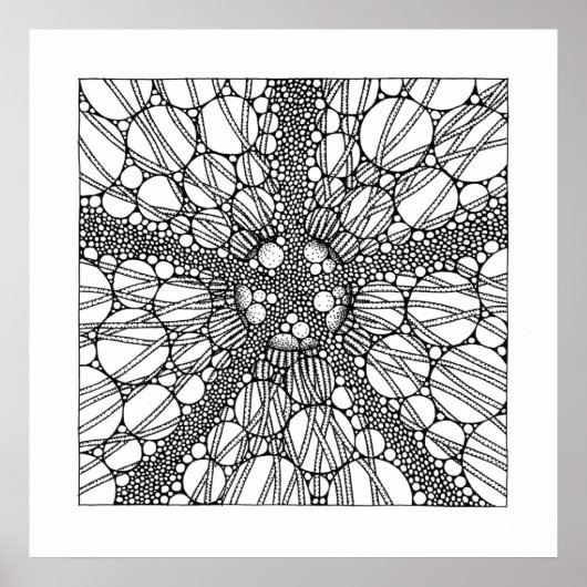 Poster Étoile (Devant)