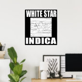 POSTER ÉTOILE BLANCHE INDICA (Bureau à domicile)