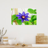 Poster étoile bleue (Cuisine)