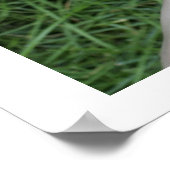 Poster Étoile d'amitié (Coin)