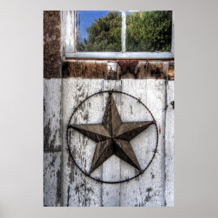 POSTER ÉTOILE DE FIL BARBÉ DU TEXAS