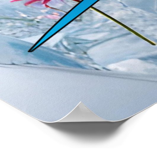 Poster Étoile de fleurs (Coin)