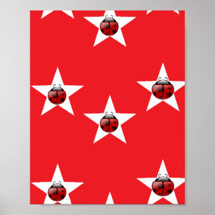 Poster étoile de Ladybug
