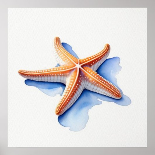 Poster Étoile de mer et silhouette bleue (Devant)