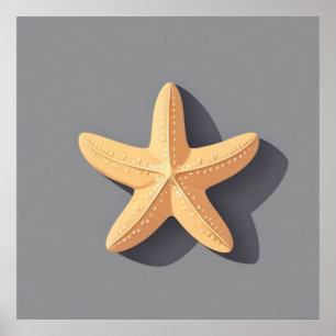 Poster Étoile de mer et son ombre