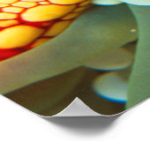 Poster Étoile de mer rouge et jaune (Coin)